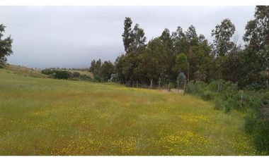 GRAN OPORTUNIDAD PARCELA DE 11,9 HECTAREAS