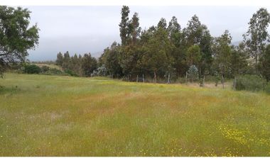 GRAN OPORTUNIDAD PARCELA DE 11,9 HECTAREAS