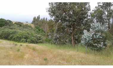 GRAN OPORTUNIDAD PARCELA DE 11,9 HECTAREAS