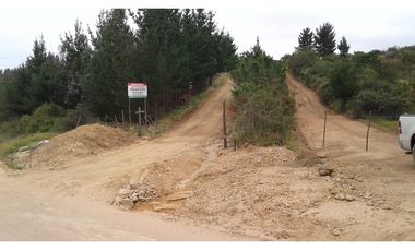 GRAN OPORTUNIDAD PARCELA DE 11,9 HECTAREAS