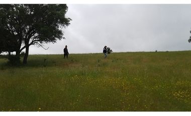 GRAN OPORTUNIDAD PARCELA DE 11,9 HECTAREAS