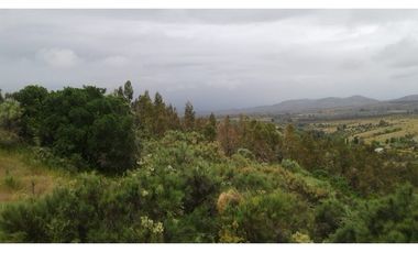 GRAN OPORTUNIDAD PARCELA DE 11,9 HECTAREAS