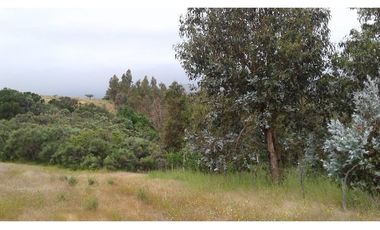 GRAN OPORTUNIDAD PARCELA DE 11,9 HECTAREAS