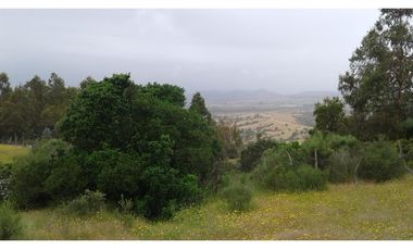 GRAN OPORTUNIDAD PARCELA DE 11,9 HECTAREAS