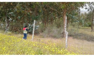 GRAN OPORTUNIDAD PARCELA DE 11,9 HECTAREAS