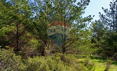 Parcelas con Espectacular Vista al Mar y al Valle
