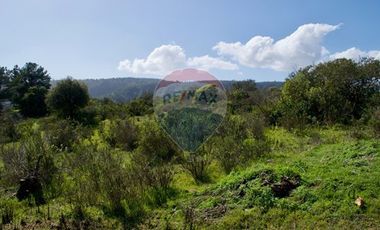 Parcelas con Espectacular Vista al Mar y al Valle