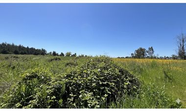 GRAN PARCELA EN LONGAVI