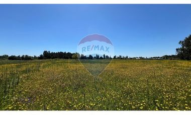 GRAN PARCELA EN LONGAVI