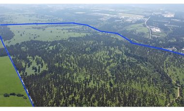 Gran paño de 345 há en San Antonio