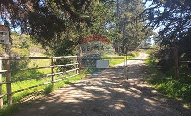 Gran paño de 345 há en San Antonio