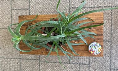 ¡Arrienda Tu Hogar en Condominio Doña Victoria!