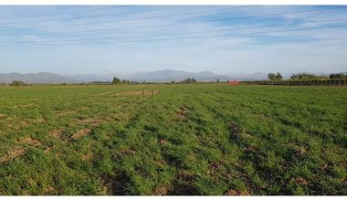 Inversión Agrícola en el Corazón de Molina, Chile