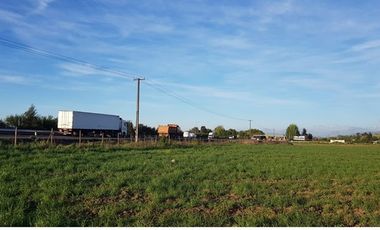 Inversión Agrícola en el Corazón de Molina, Chile