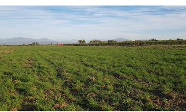 Inversión Agrícola en el Corazón de Molina, Chile