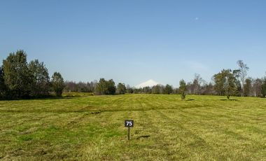 Parcelas en venta Villarrica