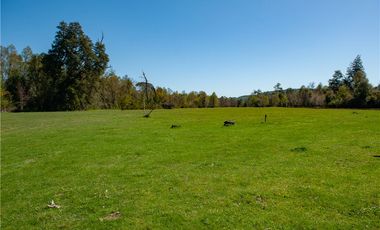Parcelas en venta Villarrica