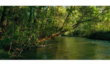 Parcelas en venta Villarrica