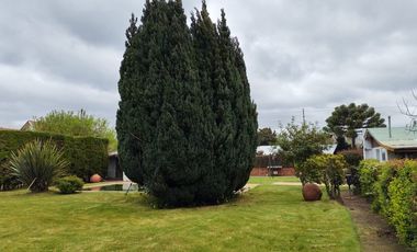 PARCELA  SECTOR LAGUNA AVENDAÑO - QUILLON