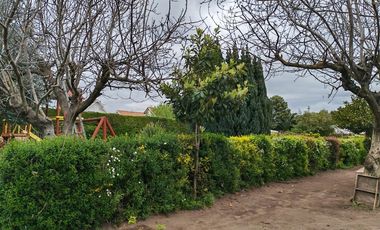 PARCELA  SECTOR LAGUNA AVENDAÑO - QUILLON