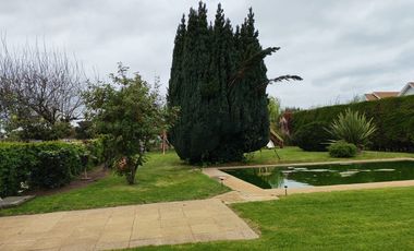 PARCELA  SECTOR LAGUNA AVENDAÑO - QUILLON