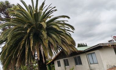 PARCELA  SECTOR LAGUNA AVENDAÑO - QUILLON