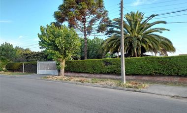 PARCELA  SECTOR LAGUNA AVENDAÑO - QUILLON