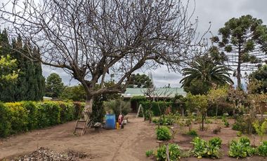 PARCELA  SECTOR LAGUNA AVENDAÑO - QUILLON