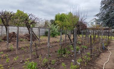 PARCELA  SECTOR LAGUNA AVENDAÑO - QUILLON