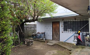 PARCELA  SECTOR LAGUNA AVENDAÑO - QUILLON