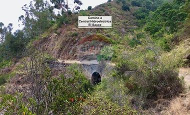 Hermosa Parcela Flora y Fauna Nativa