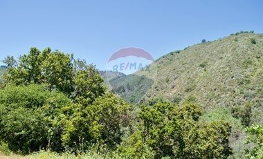 Hermosa Parcela Flora y Fauna Nativa