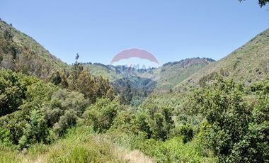 Hermosa Parcela Flora y Fauna Nativa