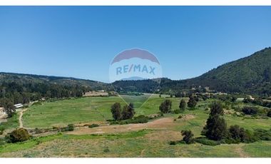 Hermosa Parcela Flora y Fauna Nativa