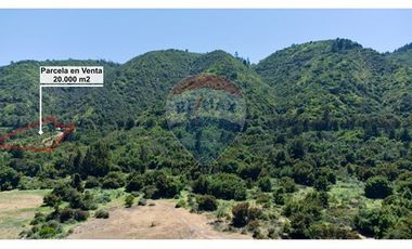 Hermosa Parcela Flora y Fauna Nativa