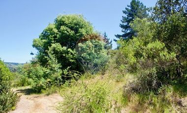 Hermosa Parcela Flora y Fauna Nativa