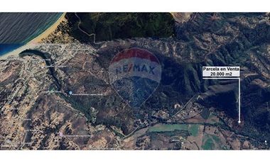 Hermosa Parcela Flora y Fauna Nativa