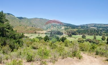 Hermosa Parcela Flora y Fauna Nativa
