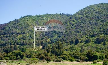 Hermosa Parcela Flora y Fauna Nativa