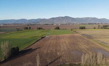 Se venden 12.5 hectáreas en Colchagua