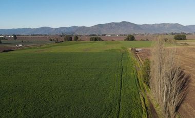 Se venden 12.5 hectáreas en Colchagua