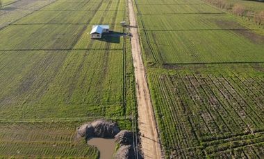 Venta de Terrenos de 5000m² en Palmilla