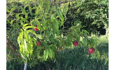 Parcela en venta CountryClub  Maria Pinto