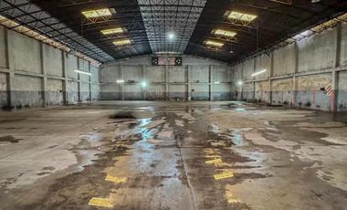 Alquiler - Galpón - Depósito - 1000 m2 - Piñeyro