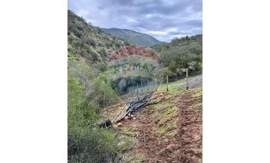 Venta de 10.000 m2 en Las Pircas - Santa Cruz