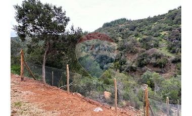 Venta de 10.000 m2 en Las Pircas - Santa Cruz