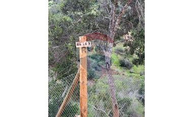 Venta de 10.000 m2 en Las Pircas - Santa Cruz