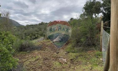 Venta de 10.000 m2 en Las Pircas - Santa Cruz