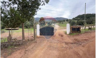 Venta de 10.000 m2 en Las Pircas - Santa Cruz