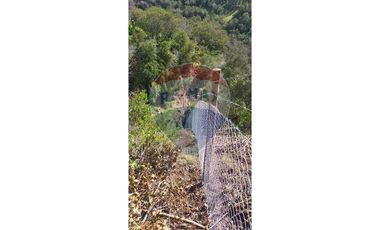 Venta de 10.000 m2 en Las Pircas - Santa Cruz